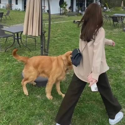 迎风的青春